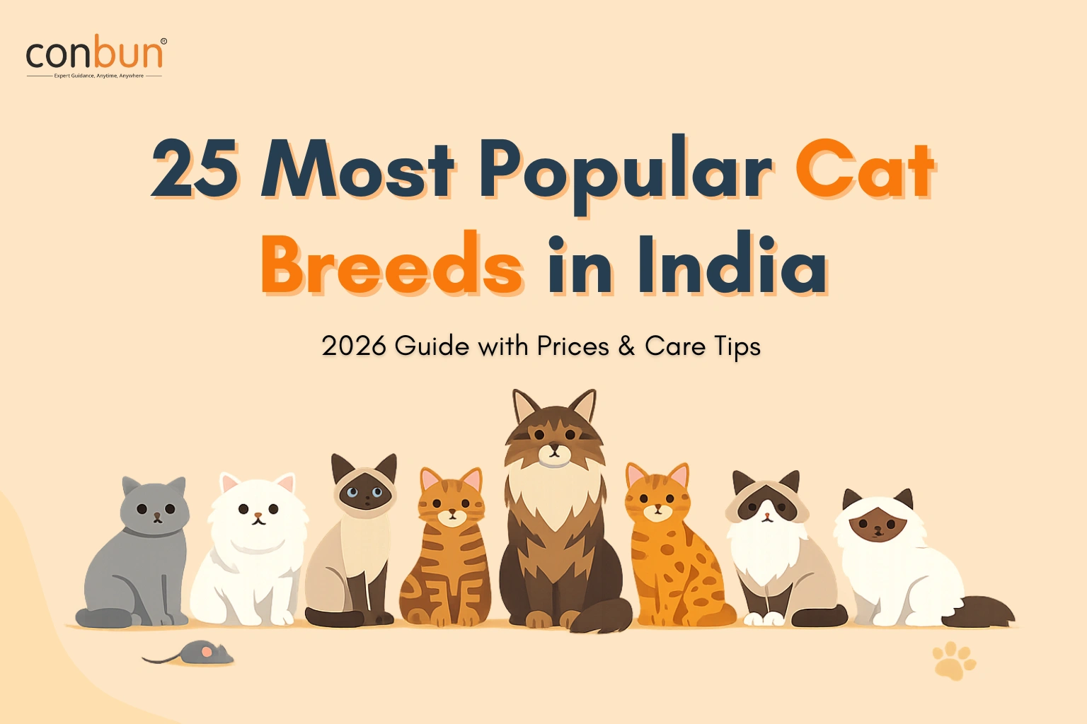 25 Most Popular Cat Breeds in India with Prices and Care Guide (2026)